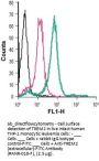 Anti-TREM2 (extracellular)-FITC