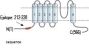 TRPML2/Mucolipin-2 Blocking Peptide