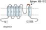 TRPM2 (extracellular) Blocking Peptide