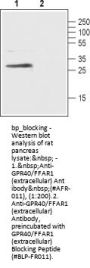 GPR40/FFAR1 (extracellular) Blocking Peptide