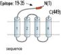 GABA(A) delta (ext) Receptor Blocking Peptide