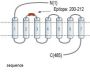 Glucagon Receptor Blocking Peptide