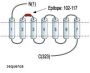 MC3 Receptor Blocking Peptide