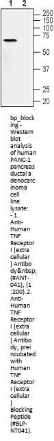 Human TNF Receptor I Blocking Peptide