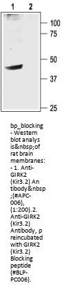GIRK2/Kir3.2 Blocking Peptide