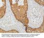 PKM2 Antibody