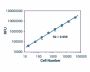 Cell Viability Assay (Colorimetric/Fluorometric) (BA0002)