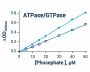 ATPase/GTPase Assay Kit (Colorimetric) (BA0017)