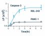 Caspase 3/7 Assay Kit (Fluorometric) (BA0020)