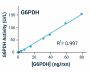 Glucose-6-Phosphate Dehydrogenase (G6PD) Assay Kit (BA0027)