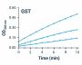 GST Activity Assay Kit (Colorimetric) (BA0028)