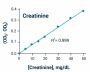 Creatinine Assay Kit (BA0034)