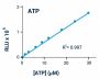 ATP Assay Kit (Luminescent) (BA0080)