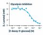 Glycolysis Assay Kit (BA0086)