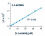 L-Lactate Assay Kit (Fluorometric) (BA0104)