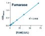 Fumarase Activity Assay Kit (Colorimetic) (BA0105)