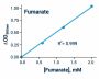 Fumarate Assay Kit (BA0110)