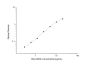 Rat ACE2 (Angiotensin I Converting Enzyme 2) ELISA Kit