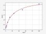 Rat ELA2/Neutrophil Elastase ELISA Kit