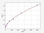 Rat NF-ÎšB P65 ELISA Kit