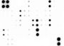 Mouse Cytokine Array (22 targets)