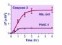 QuantiFluo™ Caspase-3 Assay Kit