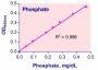 QuantiChrom™ Phosphate Assay Kit