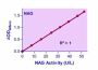 QuantiChrom™ β-N-Acetylglucosaminidase Assay Kit