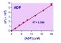 EnzyChrom™ ADP Assay Kit
