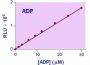 EnzyLight™ ADP Assay Kit