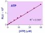 EnzyLight™ ATP Assay Kit