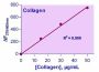 EnzyFluo™ Collagen Assay Kit