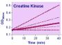 EnzyChrom™ Creatine Kinase Assay Kit