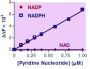 EnzyFluo™ NADP/NADPH Assay Kit