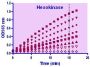 EnzyChrom™ Hexokinase Assay Kit