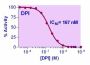 EnzyChrom™ Nitric Oxide Synthase Inhibitor Screening Kit