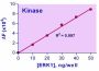 EnzyChrom™ Kinase Assay Kit