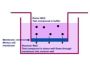 Parallel Artificial Membrane Permeability Assay (PAMPA) Kit