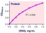 QuantiChrom™ Protein Assay Kit