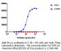 Anti-Human PD-L1(Atezolizumab)