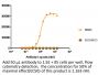 Anti-Human PD-L1(Durvalumab