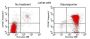 NucView® 405 Caspase-3 Substrate, 1 mM in 1X PBS, Trial Size