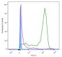 Annexin V, CF®660R Conjugate, Azide-Free, Lyophilized