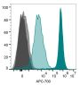 Annexin V, CF®800 Conjugate (azide-free, lyophilized)