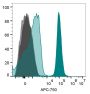 Annexin V, CF®800 Conjugate (azide-free, lyophilized)