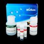 Renilla Luciferase Assay Kit 2.0, 150 Assays