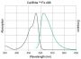 CellBrite™ Fix 555 Membrane Labeling Kit, Trial Size