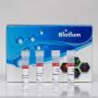ExoBrite™ 515/540 True EV Membrane Stain, 500 labelings