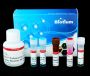 PMA Real-Time PCR Bacterial Viability Kit - E. coli O157:H7 (Z3276) PMAxx™