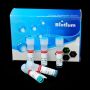 Forget-Me-Not™ EvaGreen® qPCR Master Mix (Low ROX) (2000 reactions)